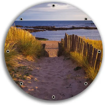 Produktbild von Wallario rundes Outdoor-Poster für Garten oder Balkon, Motiv Weg durch die Dünen zum Meer an der Küste, 30 cm Durchmesser