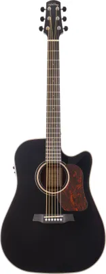 Produktbild von WALDEN D640CEB-B Natura Dreadnought