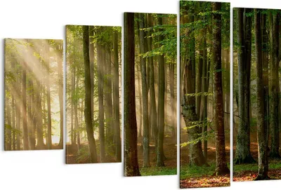 Produktbild von Bild auf Leinwand - Leinwandbild - Wald Baum Natur - 150x100cm - Wand Bild - Wanddeko - Wandbilder - Leinwanddruck - Bilder - Kunstdruck - Wanddekoration - Leinwand bilder - Wandkunst - EG150x100-3628
