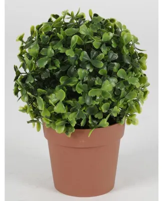 Produktbild von Künstlicher Buchsbaum Topf Pflanzen Blumen Dekoration Haushalt Wohnen Zimmer