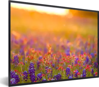 Produktbild von MuchoWow® Gerahmtes Poster Blumen - Gold - Sonne 80x60 cm - Poster mit Schwarzem Bilderrahmen Wandposter Rahmen Foto Bilder - Schwarzem - Mit Gestell