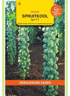 Productafbeelding van Oranjekleurige spruitkool 'Rosenkohl Igor F1' - 1 verpakking zaad
