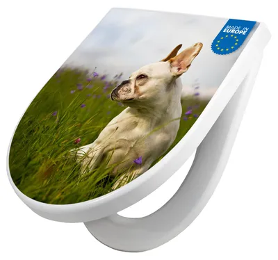 Produktbild von WC Sitz mit Absenkautomatik D Form Motiv Französische Bulldogge [TDW3 10511]