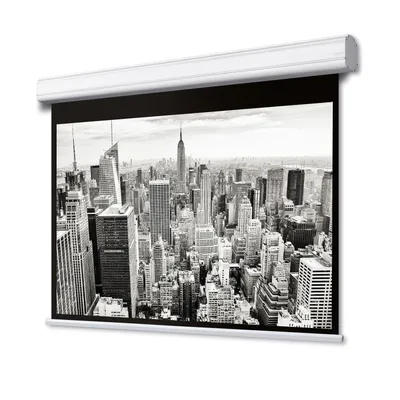 Produktbild von DELUXX Professional Motorleinwand 16:9 Mattweiss Vision Pro 244 x 137 cm