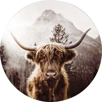 Produktbild von Glasbild Scottish Highland Cattle I GLR045 Ø 50 cm