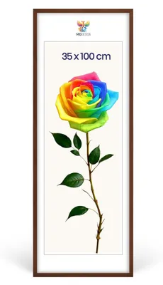 Produktbild von MG Design Bilderrahmen Braun 35x100 cm - Posterrahmen Echtholz mit Acrylglas, verstärkte Wandaufhängung, hoch/quer