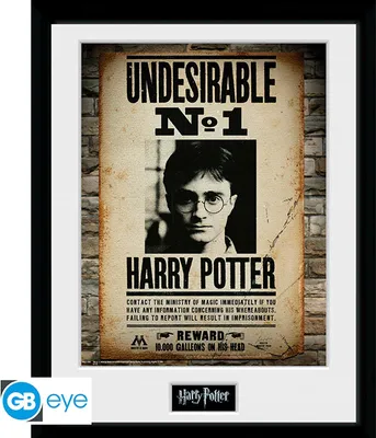 Zdjęcie produktu dla GB eye Undesirable No 1, Movie & TV, 1 szt., HARRY POTTER, Prostokąt, Chłopak, dziewczyna, Wielobarwny