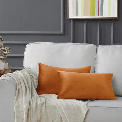 Produktbild von Set mit 2 Samtkissenbezügen, zimtorange, Dekokissen, Lendenkissen, weiche Sofakissen, Zierkissen für Sofa, Wohnzimmer, Schlafzimmer, 30 x 50 cm