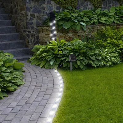 Image de Guirlande Lumineuse Solaire Led Blanche 2m