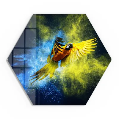 Produktbild von DEQORI Glasbild Echtglas 40x35 cm 'Papagei in Farbwolke' Wandbild Bild modern Deko