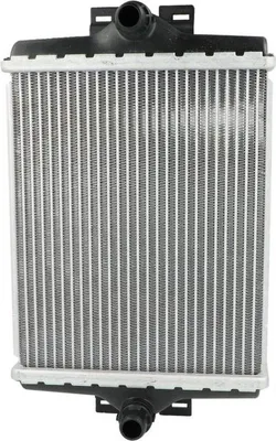 Image de NRF 550274 Radiateur refroidissement moteur