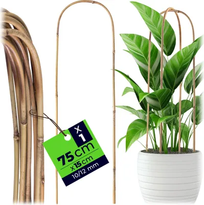 Produktbild von KADAX Bambusstab in U-Form, 75cm x 10/12mm x 15cm, Rankbogen aus Bambus, stabile Rankhilfe in Bogenform, Pflanzstab für Kletterpflanzen, Pflanzenstütze
