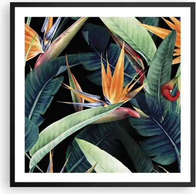 Produktbild von Gerahmtes Poster - Schwarzer Rahmen - Pflanze Tropisch Blume - 60x60 cm - Wand Bild - Wanddeko - Wandbilder - Kunstposter - Wandposter - Bilderrahmen - Bilder - Kunstdruck - P2BAC60x60-5093