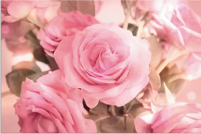 Produktbild von ARTland Wandbild Alu für Innen & Outdoor Rosarosenbouquet Größe: 60x40 cm