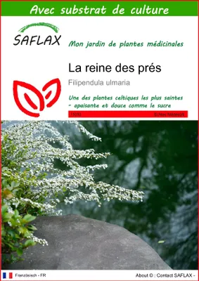 Image de SAFLAX  - La reine des prés - 500 graines - Avec substrat - Filipendula