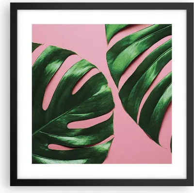 Produktbild von Gerahmtes Poster - Schwarzer Rahmen - Monstera Blatt Rosa - 40x40 cm - Wand Bild - Wanddeko - Wandbilder - Kunstposter - Wandposter - Bilderrahmen - Bilder - Kunstdruck - P2BAC40x40-4407