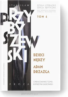 Obrázek produktu pro Stanislaw Przybyszewski Dziela literackie Tom 6 Edycja krytyczna
