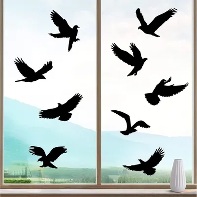 Image de Autocollant de fenêtre protection oiseaux 9 pièces autocollant noir 27-31cm
