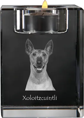 Obrázek produktu pro Art-Dog Svícen na čajovou svíčku – Xoloitzcuintle