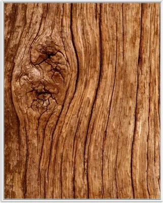 Produktbild von Wallario Wandbild Holzstamm mit Asteinschluss, Größe: 40,30 x 50,30 cm, Poster mit weißem Aluminiumrahmen