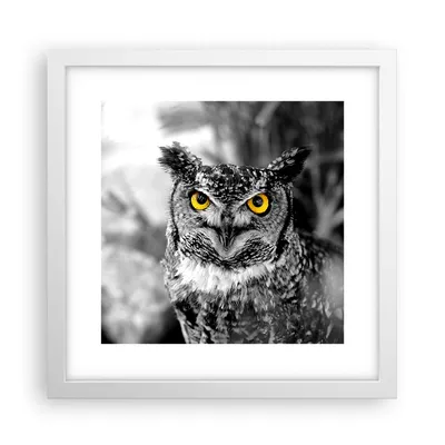 Produktbild von Gerahmtes Poster - Weißer Rahmen - Eule Vogel Natur - 30x30 cm - Wand Bild - Wanddeko - Wandbilder - Kunstposter - Wandposter - Bilderrahmen - Bilder - Kunstdruck - Wandbild - P2WAC30x30-1318