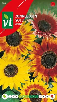 Image de Graines de tournesol Distino - Environ 1 gr | VT_884
