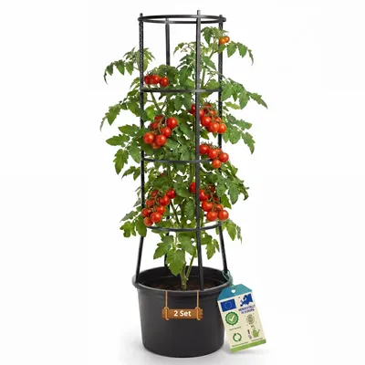 Produktbild von BigDean 2 Stück Tomatentopf XL ca 40cm und 154cm hoch stabil Hergestellt in Europa
