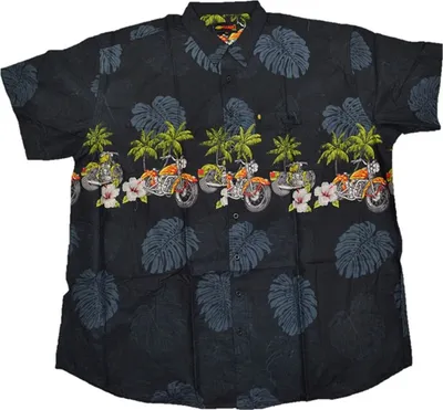 Immagine prodotto di Camicia hawaiana da uomo a maniche corte taglie forti KAMRO Nero/Multicolore 6XL