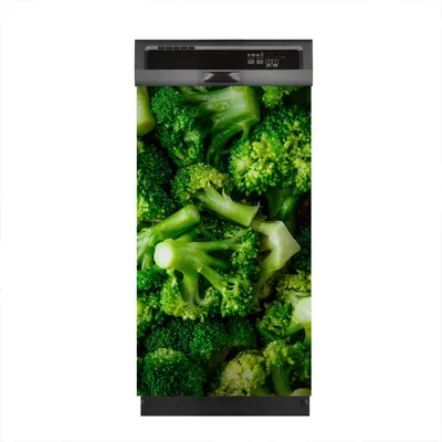 Produktbild von Magnete Dekorative 45x80 cm Küche Magnetmatte Spülmaschine - grün Brokkoli Gemüse