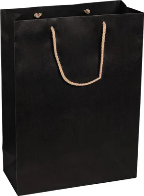Image de Sacs en papier 27 x 37 x 12 cm, noir, lisse, anse en corde - pack de 12