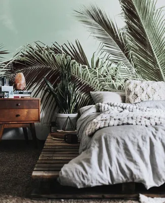 Produktbild von Coloray Fototapete 250x104 cm Latextapete Magicstick - Palm Paradise Monstera Palms Banane Sun Isl