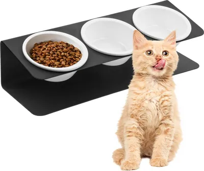 Produktbild von Famanu erhöhte Futterstation mit keramischen Schalen - 3 Stück - schwarz - mit Metallständer