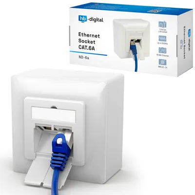 Image de Prise réseau CAT.6A avec 2x port RJ45 en saillie / encastrée RAL9003