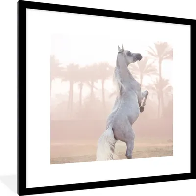 Produktbild von MuchoWow® Gerahmtes Poster Pferd - Sand - Palme 40x40 cm - Poster mit Schwarzem Bilderrahmen Wandposter Rahmen Foto Bilder - Poster - Plakat im Rahmen