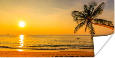Produktbild von MuchoWow® Poster Palme - Strand - Sonnenuntergang - Meer 40x20 cm - Poster für die Wand - Poster Schlafzimmer