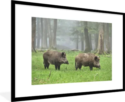 Produktbild von MuchoWow® MuchoWow® Gerahmtes Poster Wildschwein - Wald - Tier 90x60 cm - Poster mit zchwarzem Bilderrahmen - Wanddekoration - Fotos