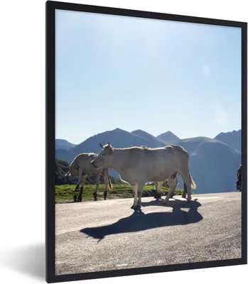 Produktbild von MuchoWow® Gerahmtes Poster Schottische Highlander - Licht - Berge - Natur 60x80 cm - Poster mit Schwarzem Bilderrahmen Wandposter Rahmen Foto Bilder - Premium - Wanddeko Wohnzimmer