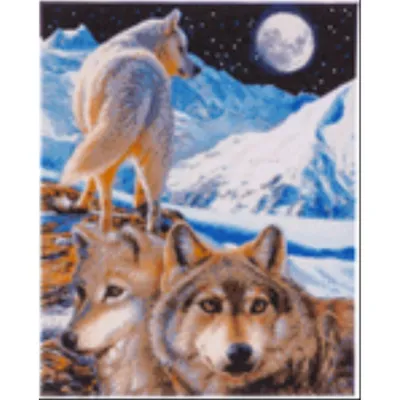 Produktbild von Crystal Art Der Wächter 40x50 cm