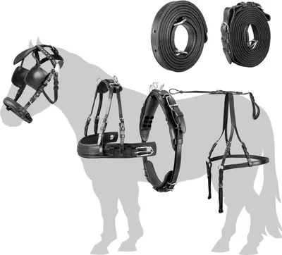 A collection of horse harness components laid out against a white background, with a silhouette of a horse to indicate scale and placement.