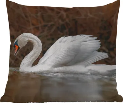 Produktbild von MuchoWow® Outdoor Kissen - Schwan - Wasser - Tiere - Vogel - 60x60 cm - Wetterfest - Lounge Kissen - Dekoration - Schlaf Kissen