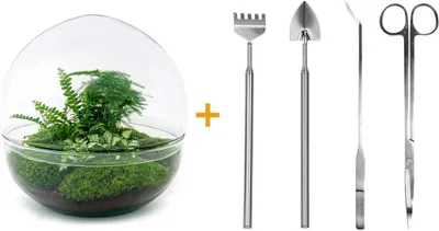 Produktbild von Urbanjngl Flaschengarten Dome XL Set (Rake, Shovel, Tweezer, Scissors) - 30 cm