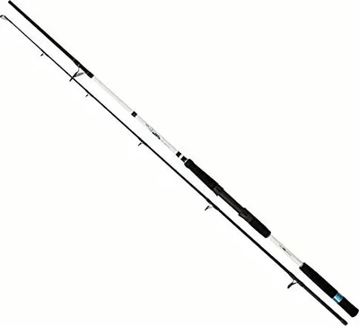 Produktbild von Zebco Great White GWC Light Pilk 2,40m 20g-150g