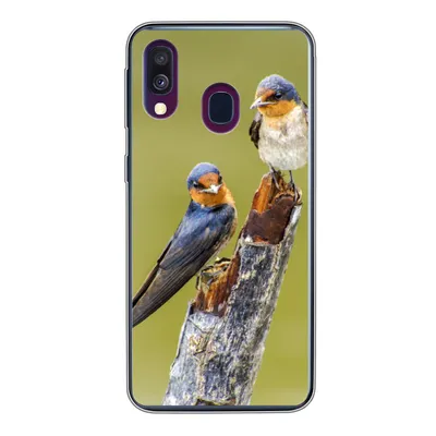 Produktbild von MuchoWow® Handyhülle Schutzhülle Hülle für Samsung Galaxy A40 Vögel - Zweig - Porträt Silikon Softcase Handy Hülle - Handy-Tasche