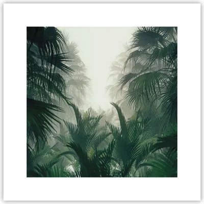 Produktbild von Poster - Poster ohne Rahmen - Dschungel Blätter Palmen - 30x30 cm - Wand Bild - Wanddeko - Wandbilder - Kunstposter - Wandposter - Bilder - Kunstdruck - Wanddekoration - Wandbild - P2XAC30x30-4504