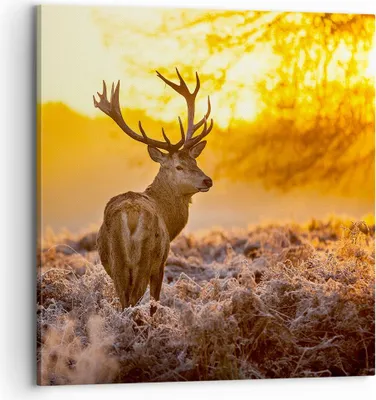 Produktbild von Bild auf Leinwand - Leinwandbild - Herbst landschaft natur blatt - 70x70cm - Wand Bild - Wanddeko - Leinwanddruck - Bilder - Kunstdruck - Wanddekoration - Leinwand bilder - Wandkunst - AC70x70-2552