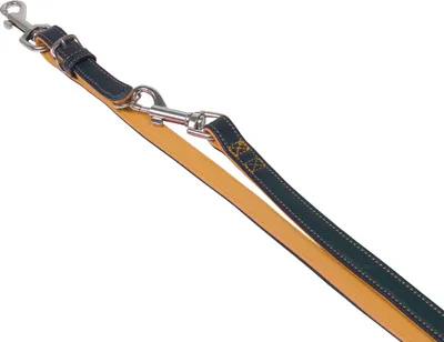 Produktbild von Nobby 77928-04, Hund, Trainingsleine, Orange, Band, Einfarbig, Leder