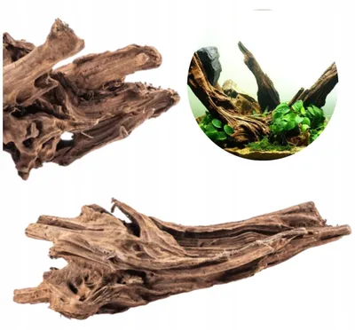 Zdjęcie produktu dla Dekoracja akwariowa – korzeń z naturalnego drewna namorzynowego, 20 cm