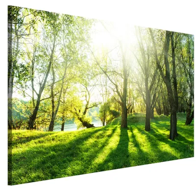 Produktbild von LUMASOUL Leinwand Bilder 1-teilig - Leinwandbild Natur Motiv - Wandbilder Holzrahmen und Webstuhl Wohnzimmer und Schlafzimmer - Bilder 120x80 cm Wald 06