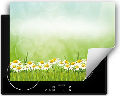 Produktbild von DarHaus Herdabdeckplatte 80x52 cm Anti Rutsch Matte Aufrollbar, Gänseblümchen - Blumen