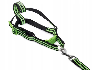 Obrázek produktu pro Verk 19127 Nylonový postroj s vodítkem pro psa 125 x 2,5 cm zelený